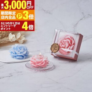 yő3,000~OFFN[|LIPT3{IubNtCf[zA}Lh A}t[Lh mercyu V[[ tOX t[ bNXACe  낤 C 