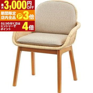 yő3,000~OFFN[|LIPT3{IubNtCf[z`FA | 1l|\t@ 1P \t@[ \t@`FA sofa ӂ rO Vv i` k x[VbNJ[ ^ VR 