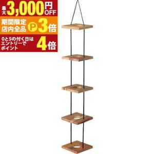 yő3,000~OFFN[|LIPT3{IubNtCf[znMOv^[5i ݂艺 v^[X^h 5A 5D Aؔ ݂艺 A v^[ O[ ϗtA  C