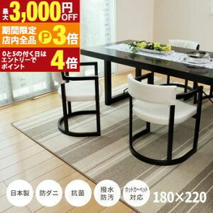 yő3,000~OFFN[|LIPT3{IubNtCf[z_CjOO 180×220cm }[W O { _CjOO J[ybg h_j R ͂ H h ͗lւ  X