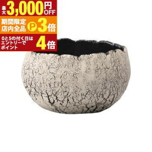 yő3,000~OFFN[|LIPT3{IubNtCf[zV L v^[ Aؔ ԕr  I IV   f fp  v^[  GgX 킢 