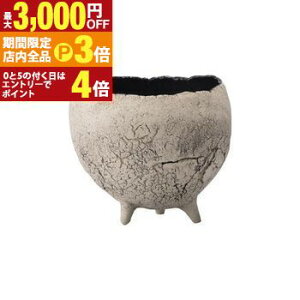 yő3,000~OFFN[|LIPT3{IubNtCf[zV L  v^[ Aؔ ԕr  I IV   f fp  v^[  GgX 