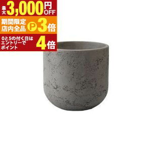 yő3,000~OFFN[|LIPT3{IubNtCf[zv^[ ^  DF O[ 傫 O ^v^[ ̖킢 ygEhM v^[|bg 唫 Aؔ i`