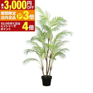 yő3,000~OFFN[|LIPT3{IubNtCf[ztFCNO[ AJV | lHA  tFCN O[ CeA JtF  lHϗtA JtFK[f 썑 