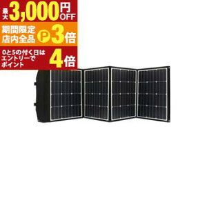 yő3,000~OFFN[|LIPT3{IubNtCf[zGXPCWp \[[pl SKJ-MTSP16 | SK JAPAN SKJMTSP16 \[[ 160W