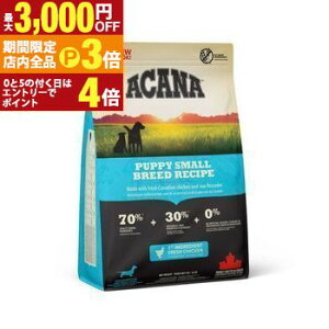 yő3,000~OFFN[|LIPT3{IubNtCf[zAJi Lbg hbO   hbOt[h Lbgt[h ybgt[h  L L ybg  L  hC 