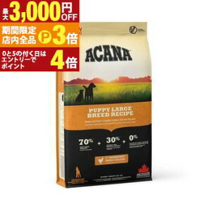 yő3,000~OFFN[|LIPT3{IubNtCf[zAJi Lbg hbO   hbOt[h Lbgt[h ybgt[h  L L ybg  L  hC 