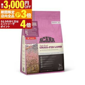 yő3,000~OFFN[|LIPT3{IubNtCf[zAJi Lbg hbO   hbOt[h Lbgt[h ybgt[h  L L ybg  L  hC 