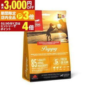 yő3,000~OFFN[|LIPT3{IubNtCf[zIW Lbg hbO   hbOt[h Lbgt[h ybgt[h  L L ybg  L  h