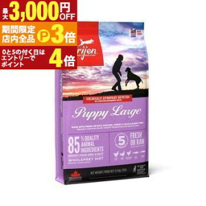 yő3,000~OFFN[|LIPT3{IubNtCf[zIW Lbg hbO   hbOt[h Lbgt[h ybgt[h  L L ybg  L  h