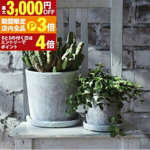 yő3,000~OFFN[|LIPT3{IubNtCf[zK[f|bg TCY2Zbg | v^[ Zbg 󂯎Mt A  A O  K[f Aؔ K[fjO |