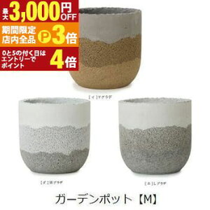 yő3,000~OFFN[|LIPT3{IubNtCf[zK[f|bg M | v^[ Aؔ K[fjO K[f  |bg v^[ Aؔ   킢 vcMU