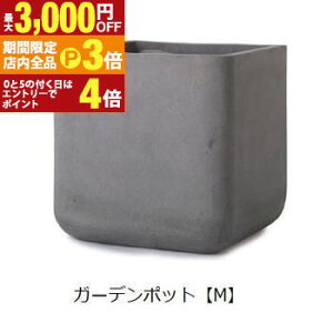 yő3,000~OFFN[|LIPT3{IubNtCf[zK[f|bg M | K[f|bg |bg  Aؔ v^[Jo[ A  JtF K[fjO 킢tH O