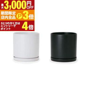 yő3,000~OFFN[|LIPT3{IubNtCf[z^v^[ v^[ ^ R zCg  ubN  󂯎Mt 󂯎MtZbg  Aؔ  r ItBX Ce