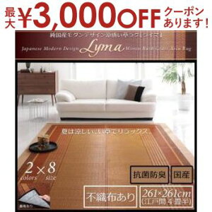 y9/30AXSiPT2{Iő3000~OFFN[|Lz ]ˊ4F261×261cm YO sDz | _   ėp R hL }bg J[ybg ` Y_fUC