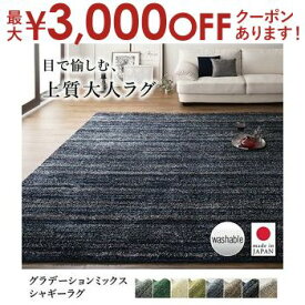 【最大3000円OFFクーポン※お買い物マラソン】送料無料 200×300cm さらふわ国産ミックスシャギーラグ | 日本製 シャギーラグ パイルラグ カーペット 防ダニ 防音 遊び毛抑制 ホットカーペット・床暖房対応 すべり止め付き 国産