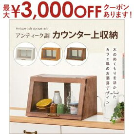 ガラスケース カウンター上収納 | キッチンカウンター 収納 キッチン収納 カウンター キッチン カウンター収納 リビング収納 ダイニング収納 調味料入れケース 棚 キッチン収納棚 ガラスケース コレクションケース ショーケース ガラス カフェ風 ケース 小物収納 ガラス