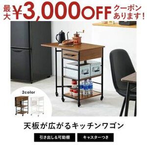 yő3000~OFFN[|LI9/20AXSiPT2{zo^tCS LW-4529 37/70cm s45cm 70cm Lk LX^[t Lb`S Lb`[ I[vbN W HI 