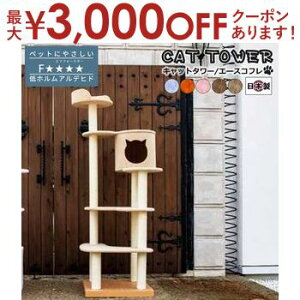 yő3000~OFFN[|LI9/20AXSiPT2{zy{󒍐YiF[1JzLbg^[LpߋLybgpߋybg Lbg^[ Y TbNX IW sN u