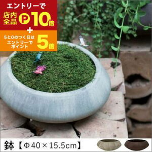 yGg[P10{IN[|LIX[p[SALEz 40×15.5cm | Aؔ  A |bg K[fjO 悹A Vv _