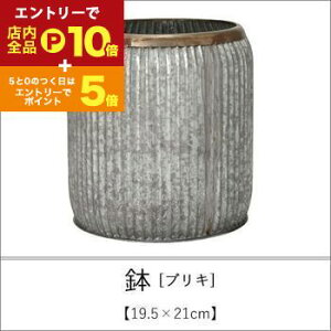 y}\IGg[P10{IN[|LIXSiP2{Iz uL 46×51cm | Aؔ  A |bg K[fjO 悹A Vv _ uL 񂹐A AeB