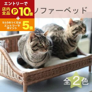 yő3,000~OFFN[|LI1 PT2{Izybgp^\t@[xbh | ybgp \t@[  ^ xbh lR  L ybg ybg\t@[  nhCh VRfރxbh