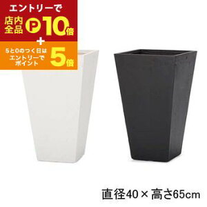 yGg[P10{IN[|LIX[p[SALEzXNGA g[v^[ | v^[ Aؔ  Jo[ A Vv _K[f K[fjO  vcMUO u