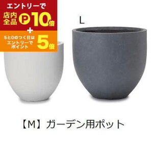 yGg[P10{IN[|LIX[p[SALEzK[fp|bg M |  v^[ Aؔ fBXvC CeA K[fjO K[fG |bg O[ A  x[V