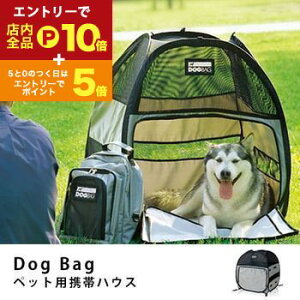 yGg[P10{IN[|LIX[p[SALEz DOgBAg hbOobO STCY | ybg L  eg ybgnEX ybgeg Lv AEghA