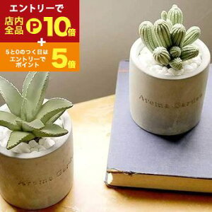 yGg[P10{IN[|LI}\z[hfBt[U[ | [hfBt[U[ [h fBt[U[ A} A} ft[U[ fBXyT[  킢