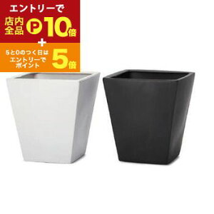 yGg[P10{IN[|LIX[p[SALEzJo[ 10 | Aؔ  O[|bg K[f ϗt|bg   v x mNJ[vcMUO uR[