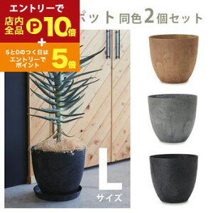 yGg[P10{IN[|LIX[p[SALEzK[fp|bg L F2Zbg | v^[ TCY K[f|bg |bg  Aؔ v^[ A K[fpi |pi  K[f