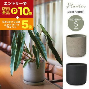 yGg[P10{IN[|LIX[p[SALEzK[f|bg S TCY2Zbg | JbZ [|bg 6 v^[ Zbg A  A O  K[f Aؔ K[fj