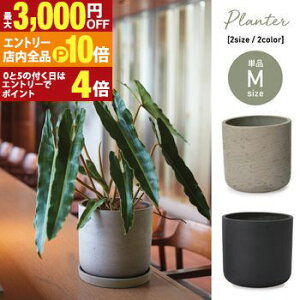 yGg[P10{IN[|LIX[p[SALEzK[f|bg M | K[f|bg |bg  Aؔ v^[Jo[ A  JtF K[fjO 킢 tH O[J