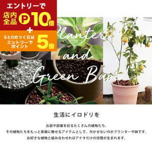 yGg[P10{IN[|LI}\zv^[ |  AWA ϗtA A EH[^[qVX G CeA  uE F ҂  ~^ 9p 8p 7