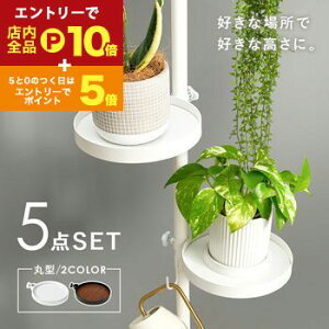 yő3,000~OFFN[|LI1 PT2{Iz˂_ p[c 5_Zbg ی^^Cv Lk_ _Zbg [pi ǖʎ[ Ǌ| ȒPݒu  ֗ ACfA[ ͐Lk 芴 