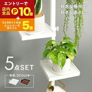 yő3,000~OFFN[|LI1 PT2{Iz˂_ p[c 5_Zbg p^^Cv Lk_ _Zbg [pi ǖʎ[ Ǌ| ȒPݒu  ֗ ACfA[ ͐Lk 芴 