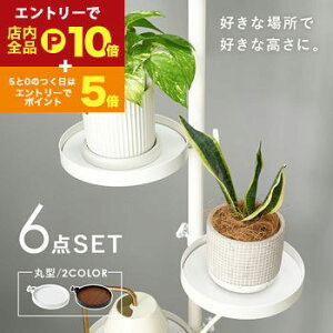 yő3,000~OFFN[|LI1 PT2{Iz˂_ p[c 6_Zbg ی^^Cv Lk_ _Zbg [pi ǖʎ[ Ǌ| ȒPݒu  ֗ ACfA[ ͐Lk 芴 