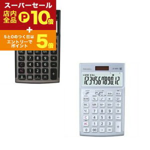 yX[p[Z[IGg[P10{IN[|LIXSiP2{Iz JVI d JS-20DC | CASIO vZ@