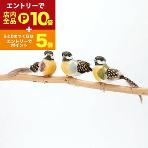 yő3,000~OFFN[|LI1 PT2{Iz| K[f ANZT go[h A\[g accessory K[fG K[f K[fANZT[ u K[fjO CeA  