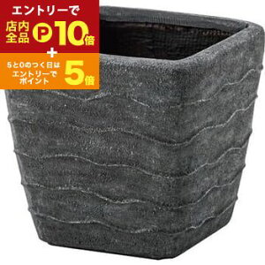 y}\IGg[P10{IN[|LIzO[x[X v^[ O[ A |bg t[|bg [^    IV 킢  Aؔ O