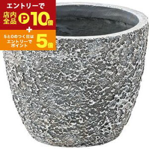 yGg[P10{IN[|LIX[p[SALEzO[x[X 5p 5p 5 5  A Aؔ y y v^[ Jo[ AؔJo[  | |bg A ϗtA A X^