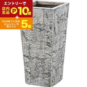 yő3,000~OFFN[|LI1 PT2{IzO[x[X 5p 5p 5 5  A Aؔ y y v^[ Jo[ AؔJo[  | |bg A ϗtA A X^h 