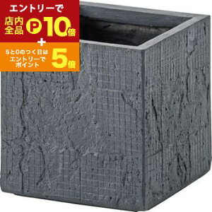 yGg[P10{IN[|LIX[p[SALEzO[x[X 6p 6p 6 6  A Aؔ y y v^[ Jo[ AؔJo[  | |bg A ϗtA A X^