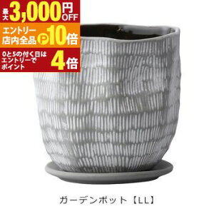 yGg[P10{IN[|LIX[p[SALEzK[f|bg LL F2Zbg | v^[ TCY K[f|bg |bg  Aؔ v^[ A K[fpi |pi  K[f