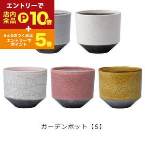 yGg[P10{IN[|LIX[p[SALEzK[f|bg S F2Zbg | v^[ TCY K[f|bg |bg  Aؔ v^[ A K[fpi |pi  K[fj