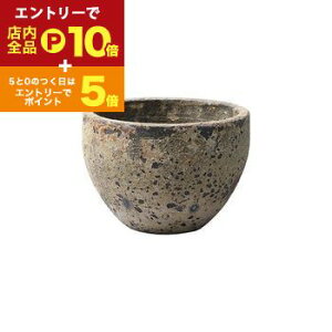 yGg[P10{IN[|LIX[p[SALEzGbOv^[M M GbO {E 傫 ^ ^ LTCY 傫 v^[ Aؔ  A Vv  IV  