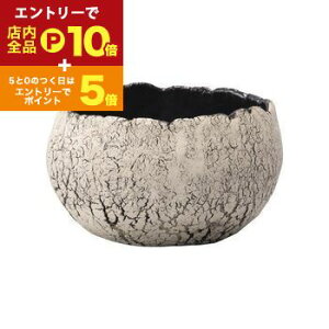 yGg[P10{IN[|LI}\zV L v^[ Aؔ ԕr  I IV   f fp  v^[  GgX 킢 