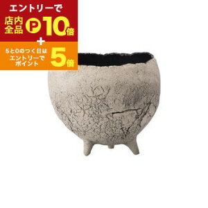 yGg[P10{IN[|LIX[p[SALEzV L  v^[ Aؔ ԕr  I IV   f fp  v^[  GgX 킢 