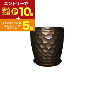 yGg[P10{IN[|LIX[p[SALEzT^NXg[ S uY  zCg  Ă ₫ Aؔ  v^[ A A A ϗtA  IXX 